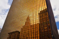 Golden Reflection
