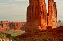 Nature’s Courthouse