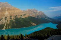 Early Morning at Peyto Lake