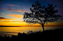 Cliff Walk Sunrise