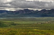 Open Range