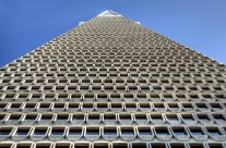 Spiderman’s View