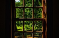 Inside Looking Out