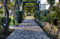 Palace Walk