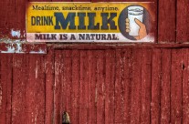 Got Milk?