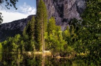 Merced Light