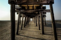 The Fishing Pier