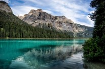 Emerald Tranquility